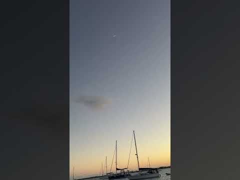 SpaceX Starship Erupts in Dramatic Explosion Over the Caribbean