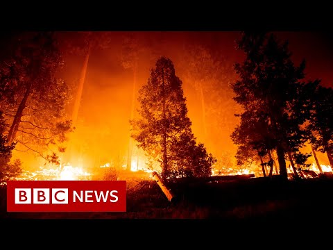California wildfires: Fires rage across thousands of acres - BBC News