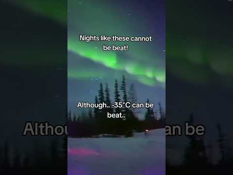 Nights like these cannot be beat! #northernlights #snow #auroralight #northernlight #nature #travel