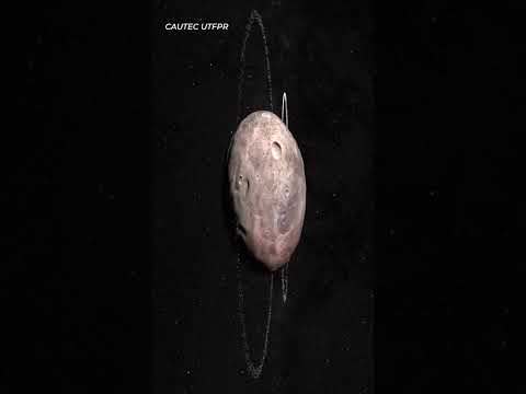 NASA Finds NEW Ringed Planet in our Solar System!