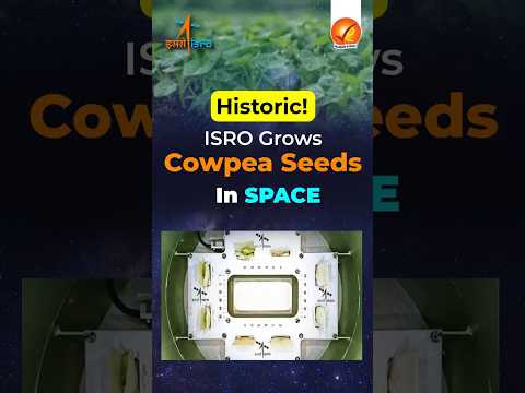 Historic! ISRO Grows Cowpea Seeds in Space