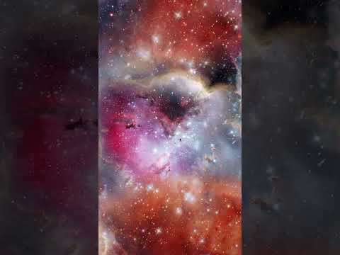 Inside the Birthplace of Stars: Webb’s Stunning Discovery