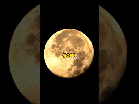 Don&#039;t miss the Full Wolf Moon #shorts