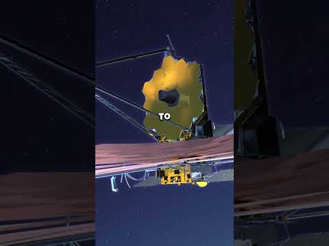 Welcome To The Fuzzi Space Channel: New Discoveries Await!
