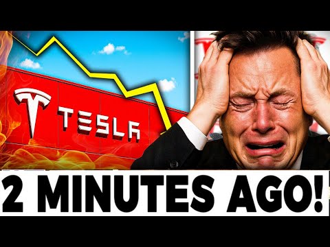 Elon Musk Under Fire: Tesla Stock Crashes Amid Massive Protests!
