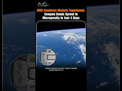 ISRO Conducted Experiment: Cowpea Seeds Sprout in Space in 4 Days! 🚀🌱