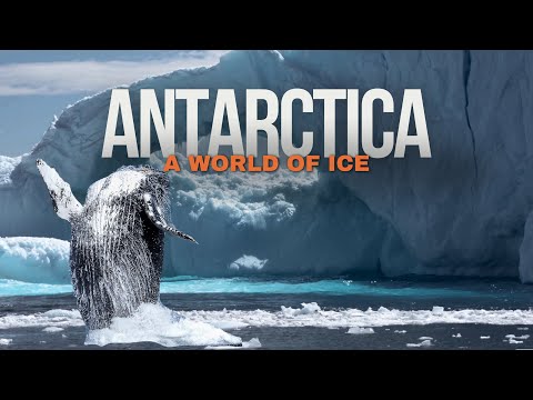 Antarctica Like Never Before – A Journey to the Last Great Wilderness